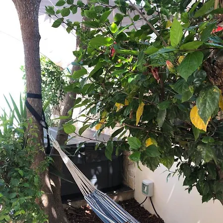 Luisa Anabela Piscine Et Jacuzzi Villa