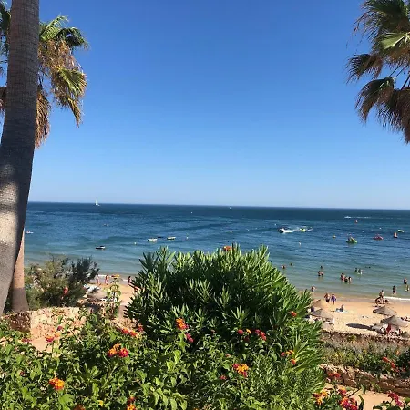 빌라 Luisa Anabela Piscine Et Jacuzzi *